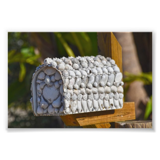 Snäcka Mailbox, Fort Myers Beach, Florida Fototryck (Framsidan)