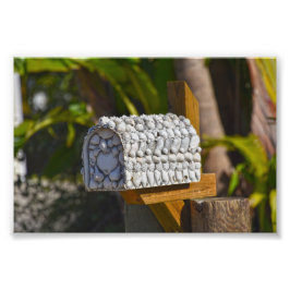 Snäcka Mailbox, Fort Myers Beach, Florida Fototryck