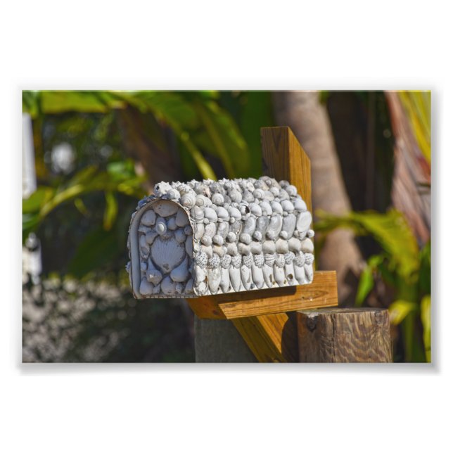 Snäcka Mailbox, Fort Myers Beach, Florida Fototryck (Framsidan)