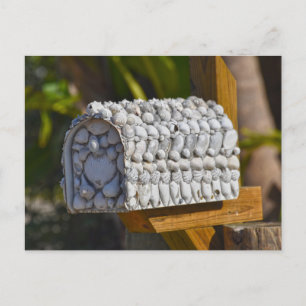 Snäcka Mailbox, Fort Myers Beach, Florida Vykort