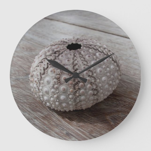 Snäcka överst av ett träbord stor klocka (Framsida)