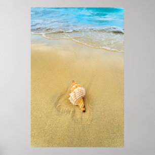 Snäcka på båge Jamaica Poster