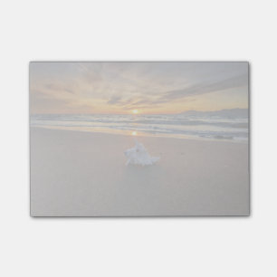 Snäcka på stranden på ön för solnedgång Ko Post-it Block