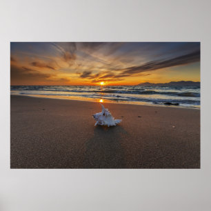 Snäcka på stranden på ön för solnedgång Kos Poster