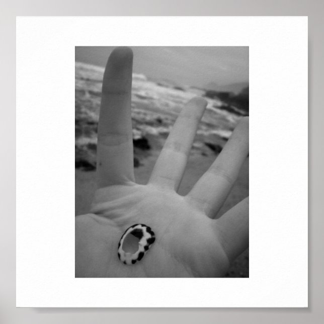 Snäcka Poster (Framsidan)