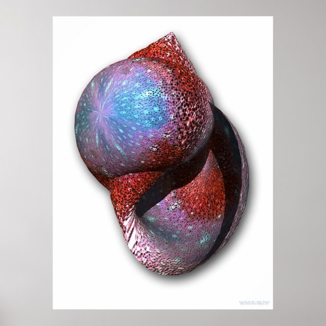 Snäcka Poster (Framsidan)