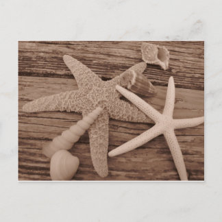 Snäcka-samling Vykort