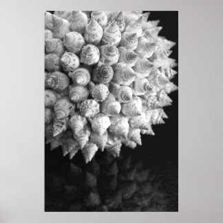 Snäcka Sphere Poster