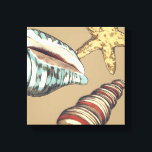 Snäcka Trio på Khaki Canvastryck<br><div class="desc">Megan Meagher är känd för sin enkla konst biet. Detta är en underbar bild av dekorativ konst som fångar upp havslivet med en gult stjärnfisk och en blå och röd snäcka. Få den här bran på Khaki färg på din Zazzle-produkt i dag.</div>