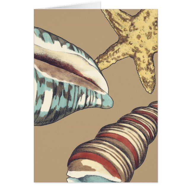 Snäcka Trio på Khaki Hälsningskort (Framsidan)