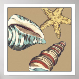 Snäcka Trio på Khaki Poster