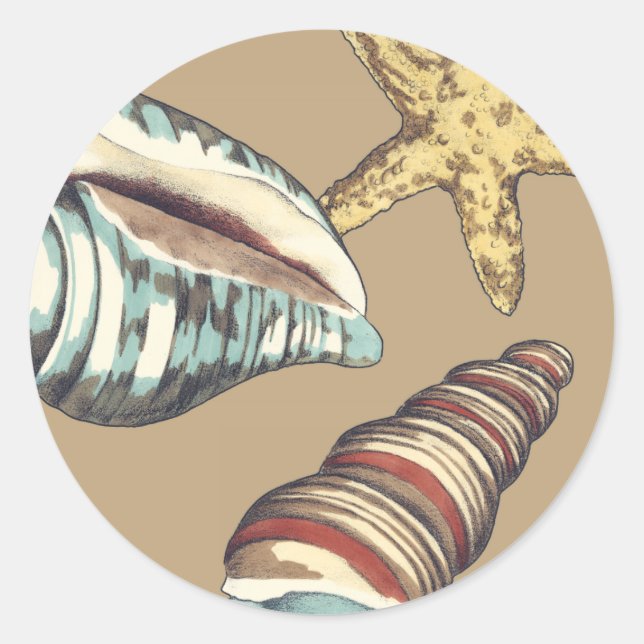 Snäcka Trio på Khaki Runt Klistermärke (Framsida)