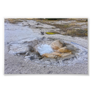 Snäcka Vår i nationalparken Yellowstone, Wyoming Fototryck