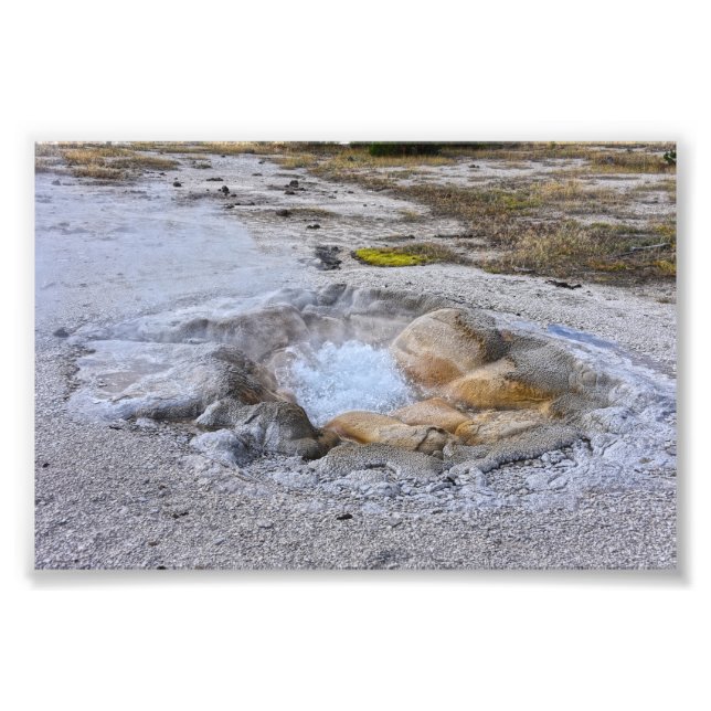 Snäcka Vår i nationalparken Yellowstone, Wyoming Fototryck (Framsidan)