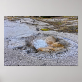 Snäcka Vår i nationalparken Yellowstone, Wyoming Poster