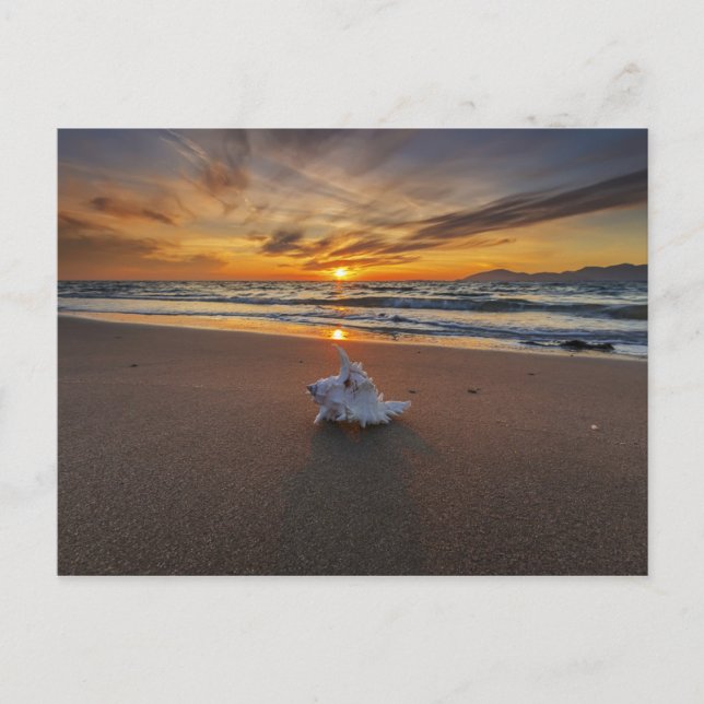 Snäcka vid bågen vid solnedgången | ön Kos Vykort (Framsida)