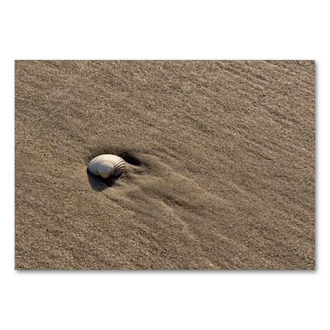 Snäcka vid stranden bordsnummer (Baksidan)