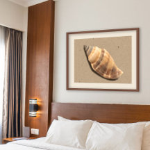 Snäckan Brun och Tan Stripe Conch Skriv ut