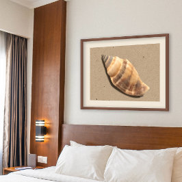 Snäckan Brun och Tan Stripe Conch Skriv ut Poster