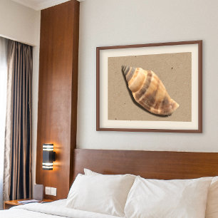Snäckan Brun och Tan Stripe Conch Skriv ut Poster