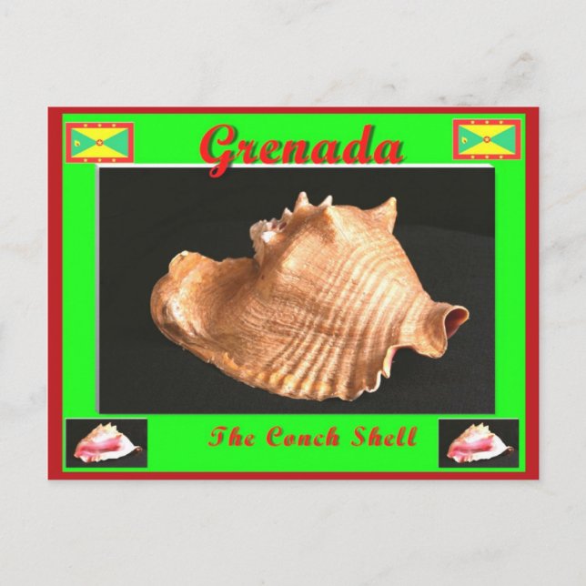 Snäckan Conch Vykort (Framsida)
