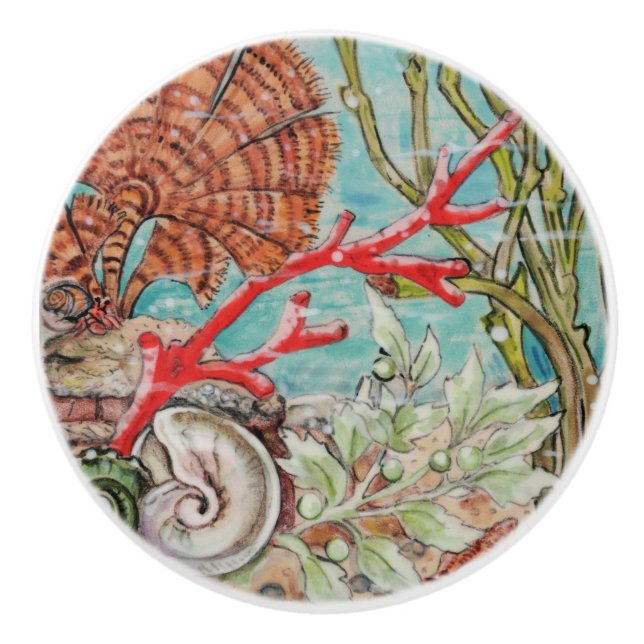 Snäckan för kustnära havskorallatshus under havsom knopp (Framsidan)