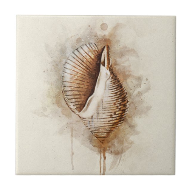 Snäckan för tropisk kustnära strandnära kakelplatta (Framsidan)