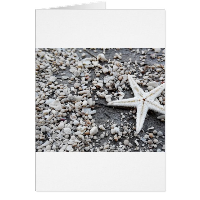 Snäckan Grått Beach Sand Hälsningskort (Framsidan)