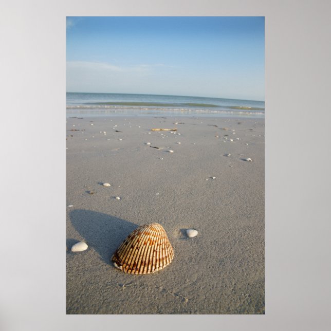 Snäckan Poster (Framsidan)