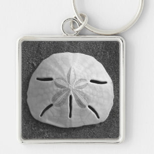 Snäckan Sand Dollar Sea Beach Keychain Fyrkantig Silverfärgad Nyckelring