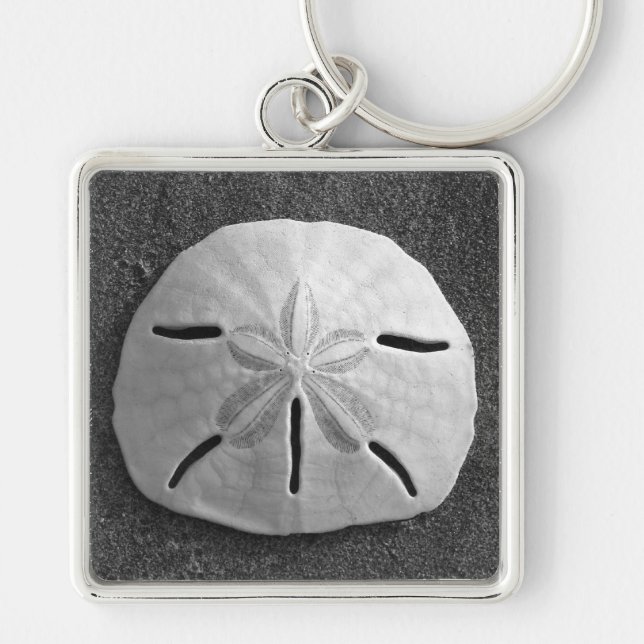 Snäckan Sand Dollar Sea Beach Keychain Fyrkantig Silverfärgad Nyckelring (Framsidan)