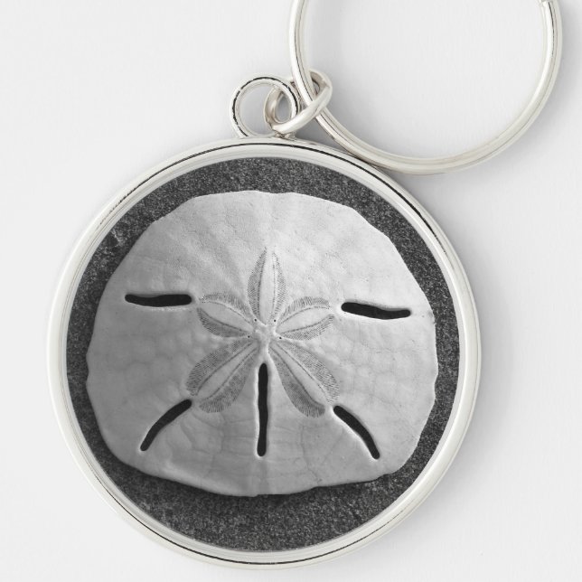 Snäckan Sand Dollar Sea Beach Keychain Rund Silverfärgad Nyckelring (Framsidan)