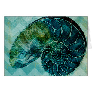 Snäckan spiral Turcos Conch Conch Hälsningskort