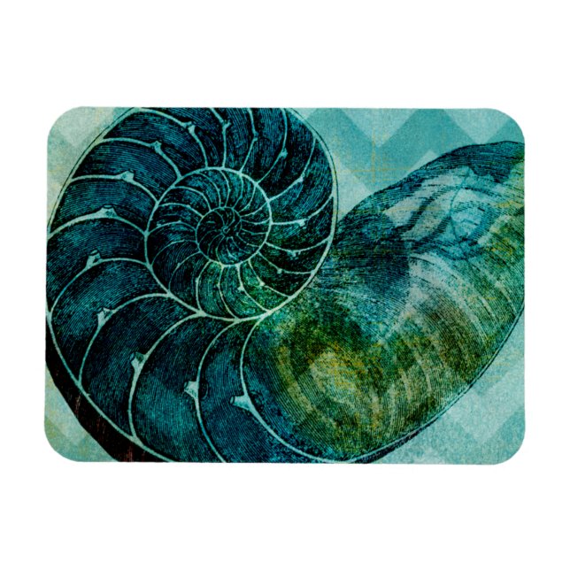 Snäckan spiral Turcos Conch Conch Magnet (Horisontell)