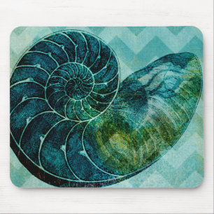 Snäckan Spiral Turcos Conch Musmatta