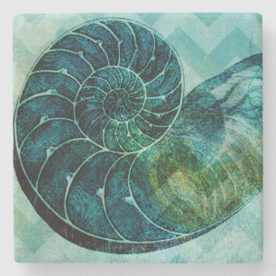 Snäckan Spiral Turcos Conch Underlägg Sten