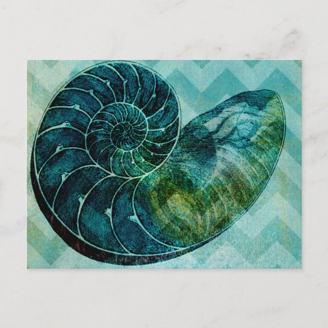 Snäckan Spiral Turcos Conch Vykort (Framsida)