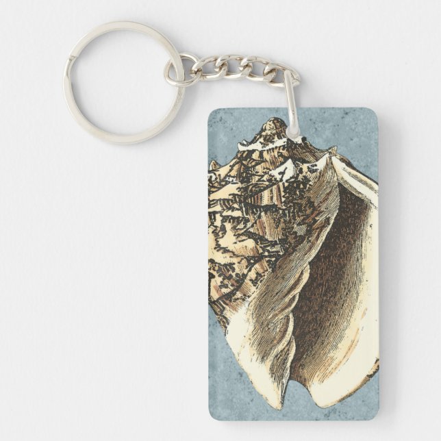 Snäckan Stonewzed Conch (Framsidan)