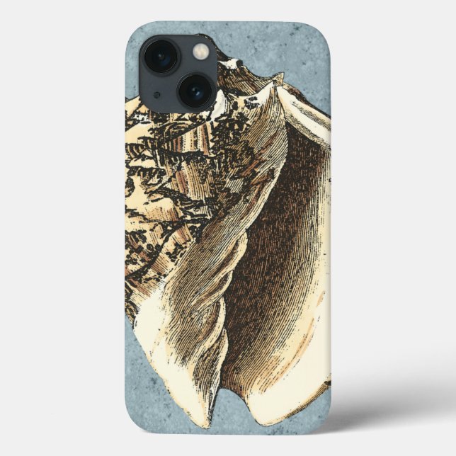 Snäckan Stonewzed Conch (Baksida)