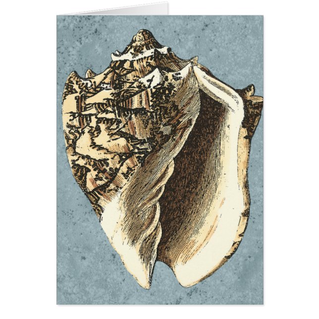 Snäckan Stonewzed Conch Hälsningskort (Framsidan)