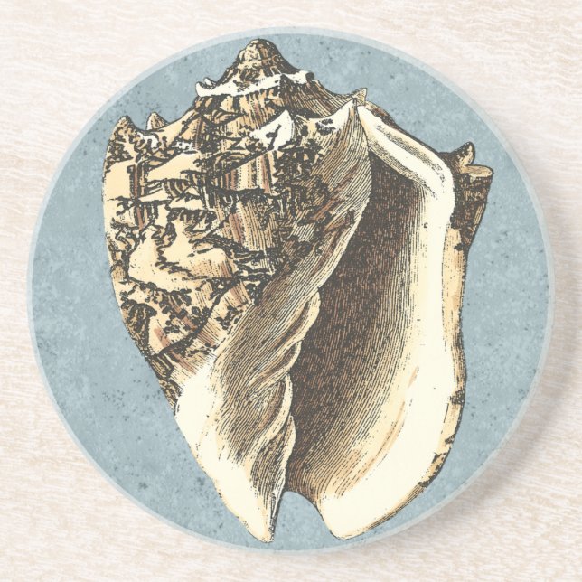 Snäckan Stonewzed Conch Underlägg Sandsten (Framsidan)
