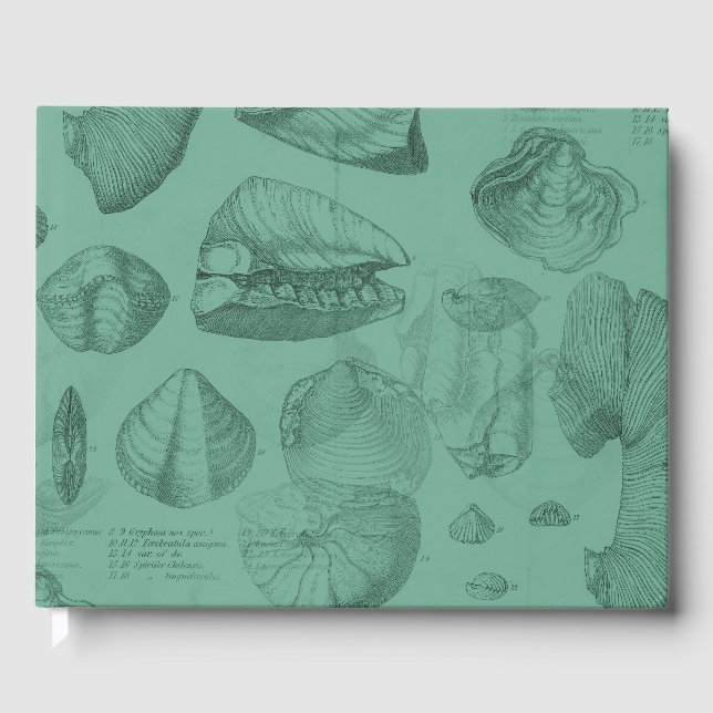 snäckas grönt stumsamling gästböcker (Framsida)