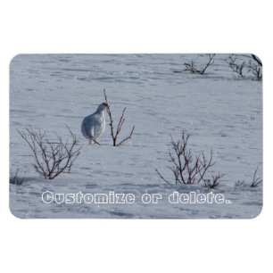 Snacking för fjällripa; Anpassade Magnet