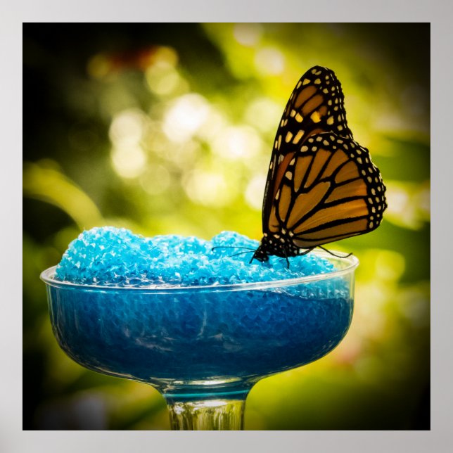 Snacking Poster (Framsidan)