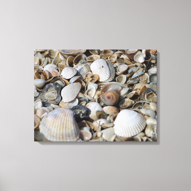 Snäckor Beach Scene Macro Photo Wall Art Canvastryck (Framsida)