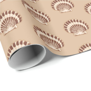 Snäckor - brun och beige presentpapper