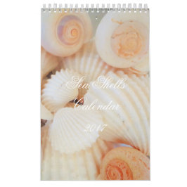 Snäckor Calendar 2017 exotiska tropiska romantiker Kalender