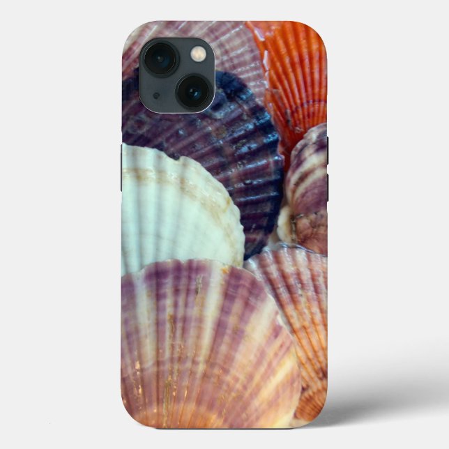 Snäckor Fodral-Mate Telefonväska, Apple iPhone 13 (Baksida)