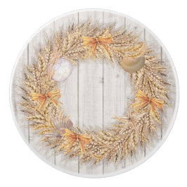 Snäckor för bröstkorg och utandningsfack/ kabinett knopp