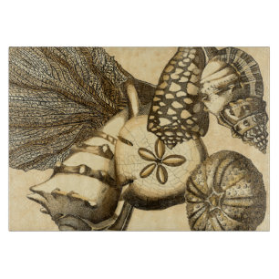 Snäckor för neutralt och korallsamling